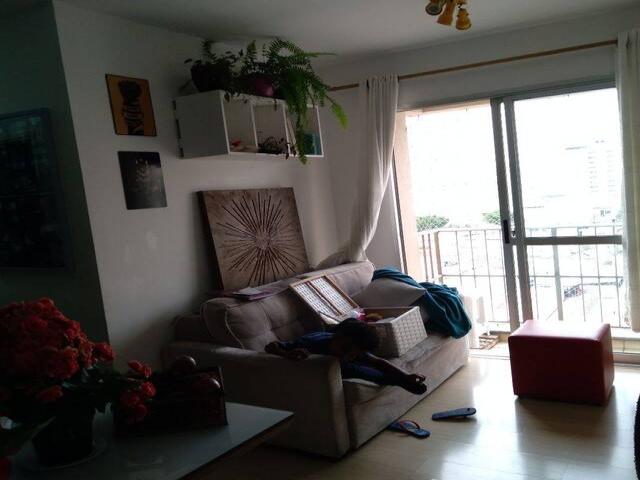Apartamento para Locação em São Paulo - 3
